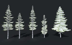snow winter trees spruce model