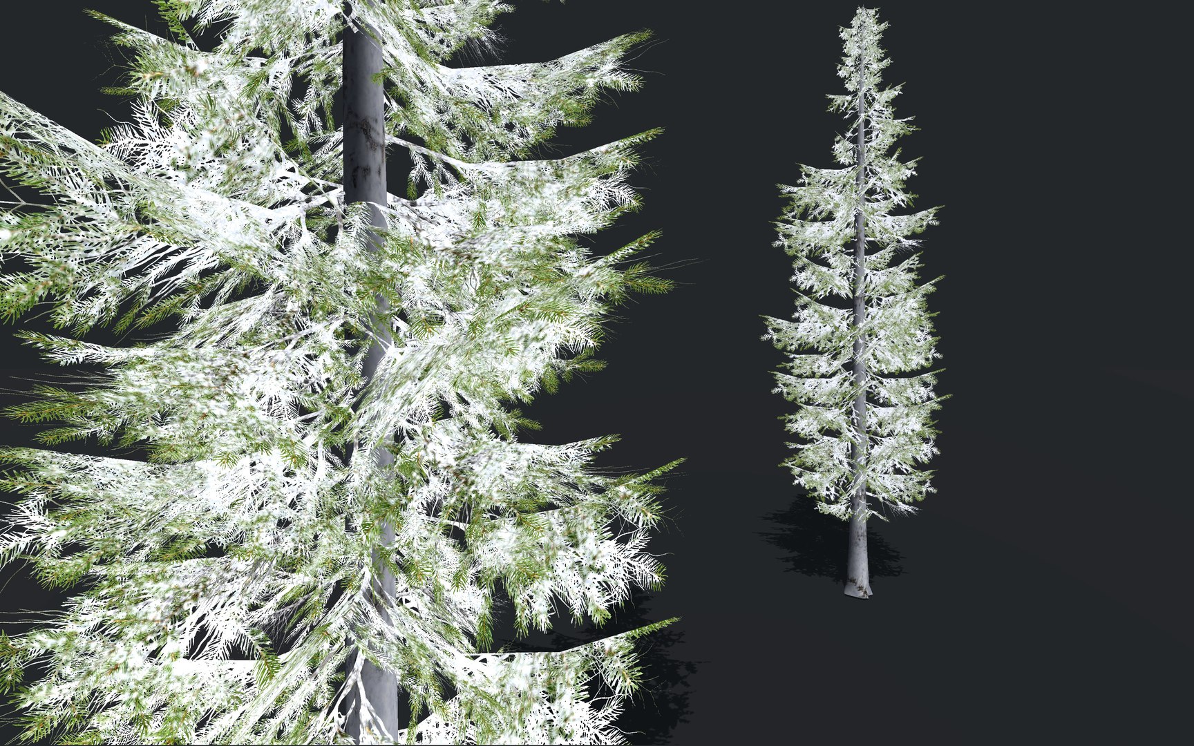 Snow Winter Trees Spruce Model - TurboSquid 1513624