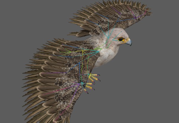 modelo 3d Plataforma de halcón - TurboSquid 1985304