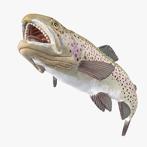 Rainbow Trout Fish Swimming Pose