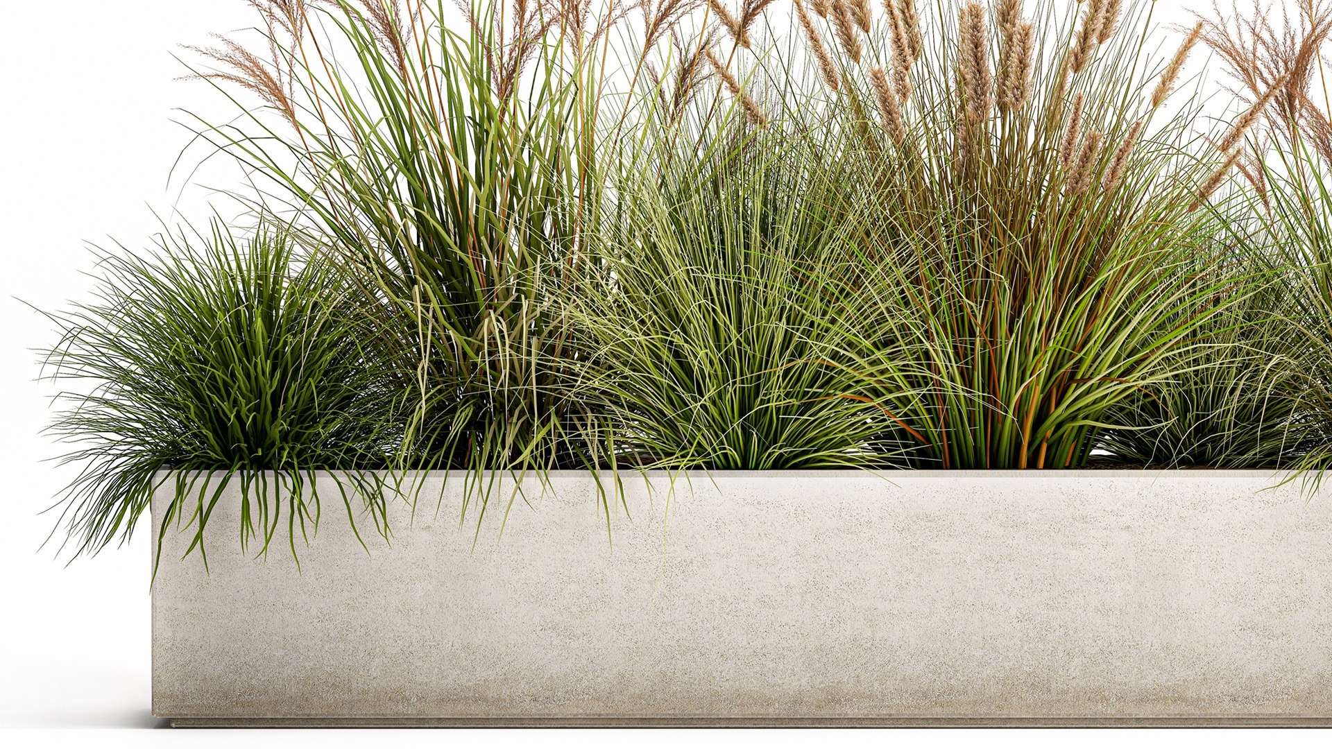 3D Potted Reeds For Landscaping 1074 - TurboSquid 1816387