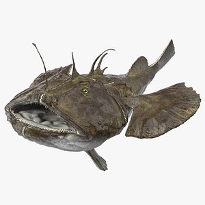 Angler Rigged model