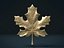 Leaf of Maple