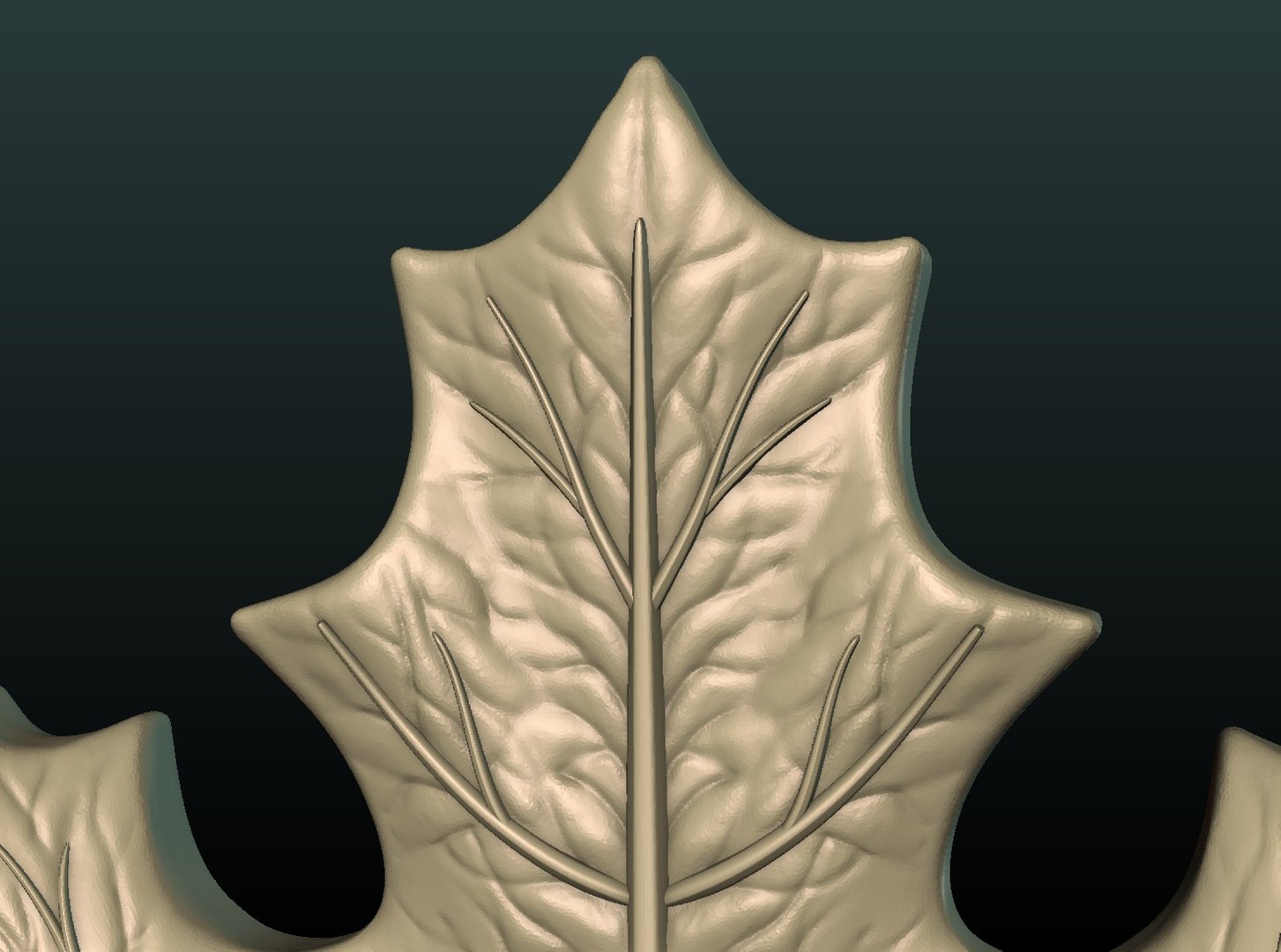 maple leaf 3D model https://p.turbosquid.com/ts-thumb/d8/wIhr7u/V1AatYrl/maple_leafx06/jpg/1530128149/1920x1080/fit_q87/8572b903d040d029c03be878ab5ca53f5a4a7541/maple_leafx06.jpg