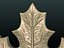 Leaf of Maple