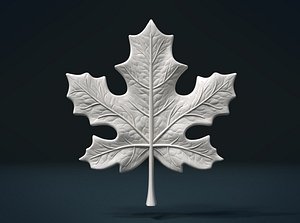 maple leaf 3D model