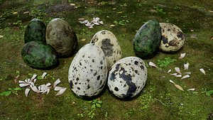 3D model Dinosaur Eggs and Teeth Collection