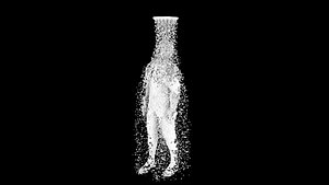 3D shower creature