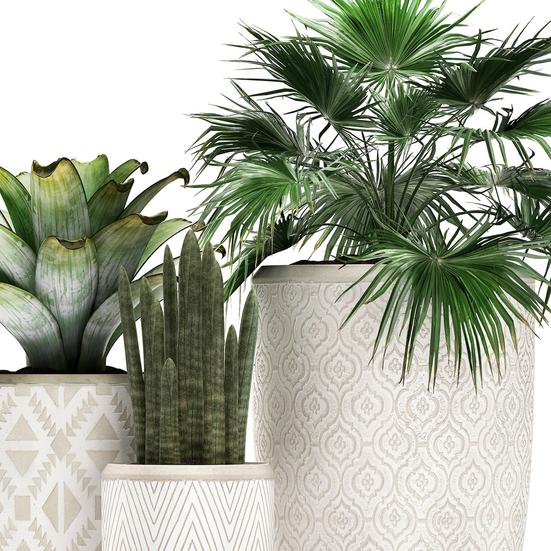 tropical plants flower pot 3D model https://p.turbosquid.com/ts-thumb/d9/LwTnjC/1tOqNlXC/plant2903202003/jpg/1585566503/1920x1080/fit_q87/f0ca6531dac6d65fc775bbd2a2372f01eb6a3dc1/plant2903202003.jpg