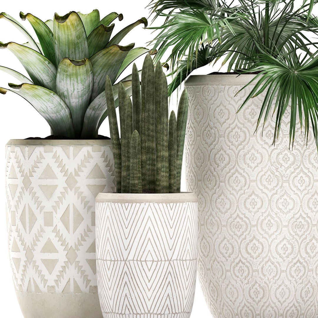 tropical plants flower pot 3D model https://p.turbosquid.com/ts-thumb/d9/LwTnjC/AGMBETns/plant2903202001/jpg/1585566503/1920x1080/fit_q87/6965b59b5b5e07dcea7c33378cd069cb0035382a/plant2903202001.jpg