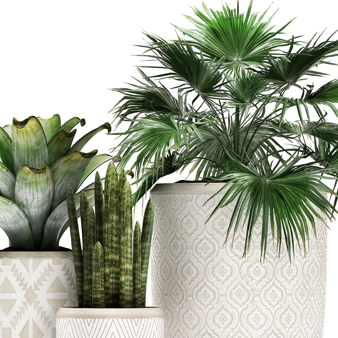 tropical plants flower pot 3D model https://p.turbosquid.com/ts-thumb/d9/LwTnjC/EmYmdnkc/plant2903202002/jpg/1585566503/1920x1080/fit_q87/54ba3e04c463de3804a3c200aa589efc099377f6/plant2903202002.jpg