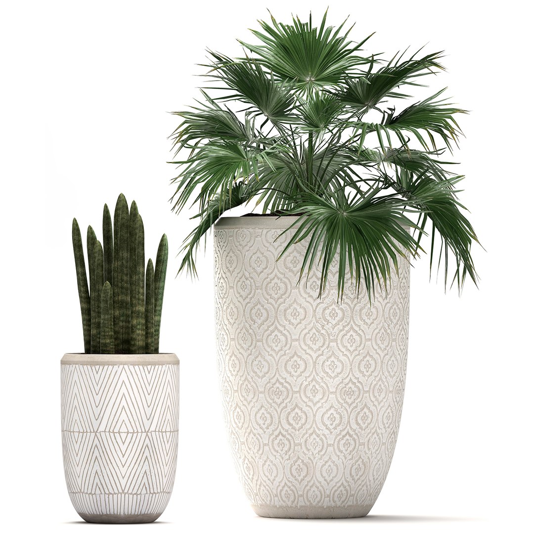 tropical plants flower pot 3D model https://p.turbosquid.com/ts-thumb/d9/LwTnjC/GSJHCWzz/plant2903202006/jpg/1585566504/1920x1080/fit_q87/fa032a438e2f7cef1692ee91243c4557385915e0/plant2903202006.jpg