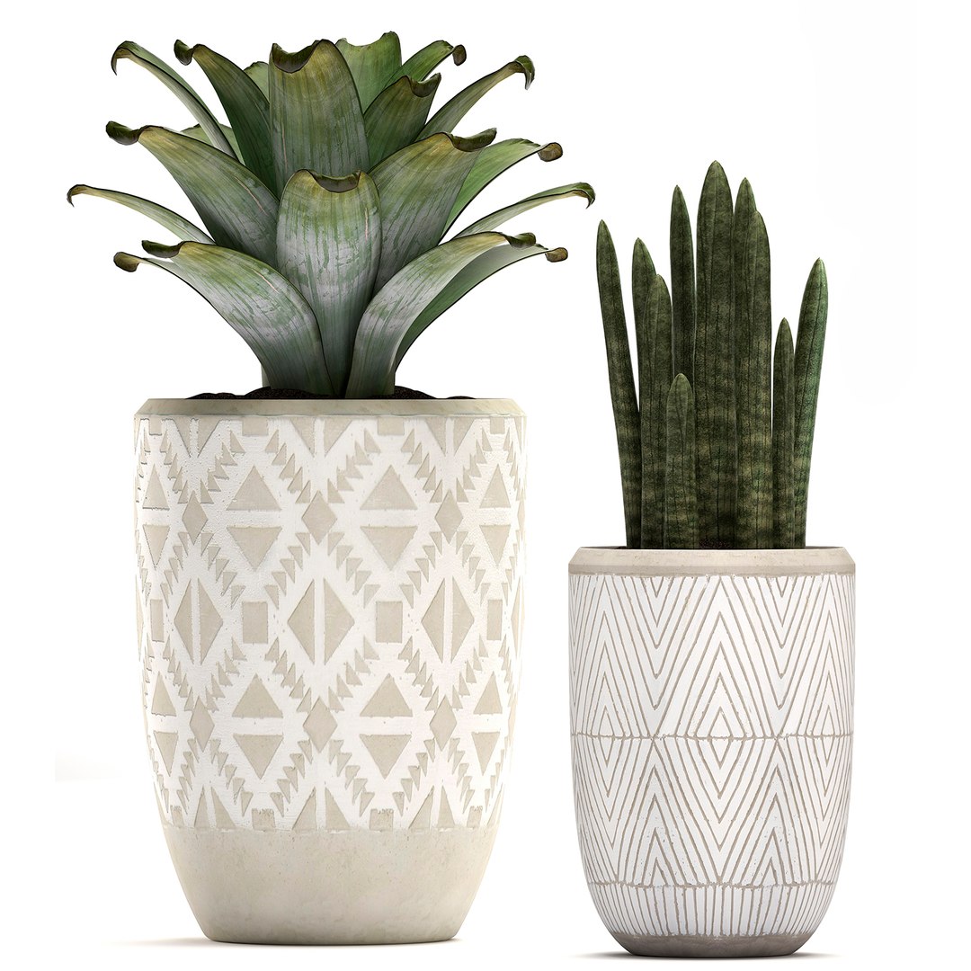 tropical plants flower pot 3D model https://p.turbosquid.com/ts-thumb/d9/LwTnjC/Pus221eK/plant2903202005/jpg/1585566504/1920x1080/fit_q87/e6aceab85f30c29538bf4faf92a16d4ae137f7f9/plant2903202005.jpg