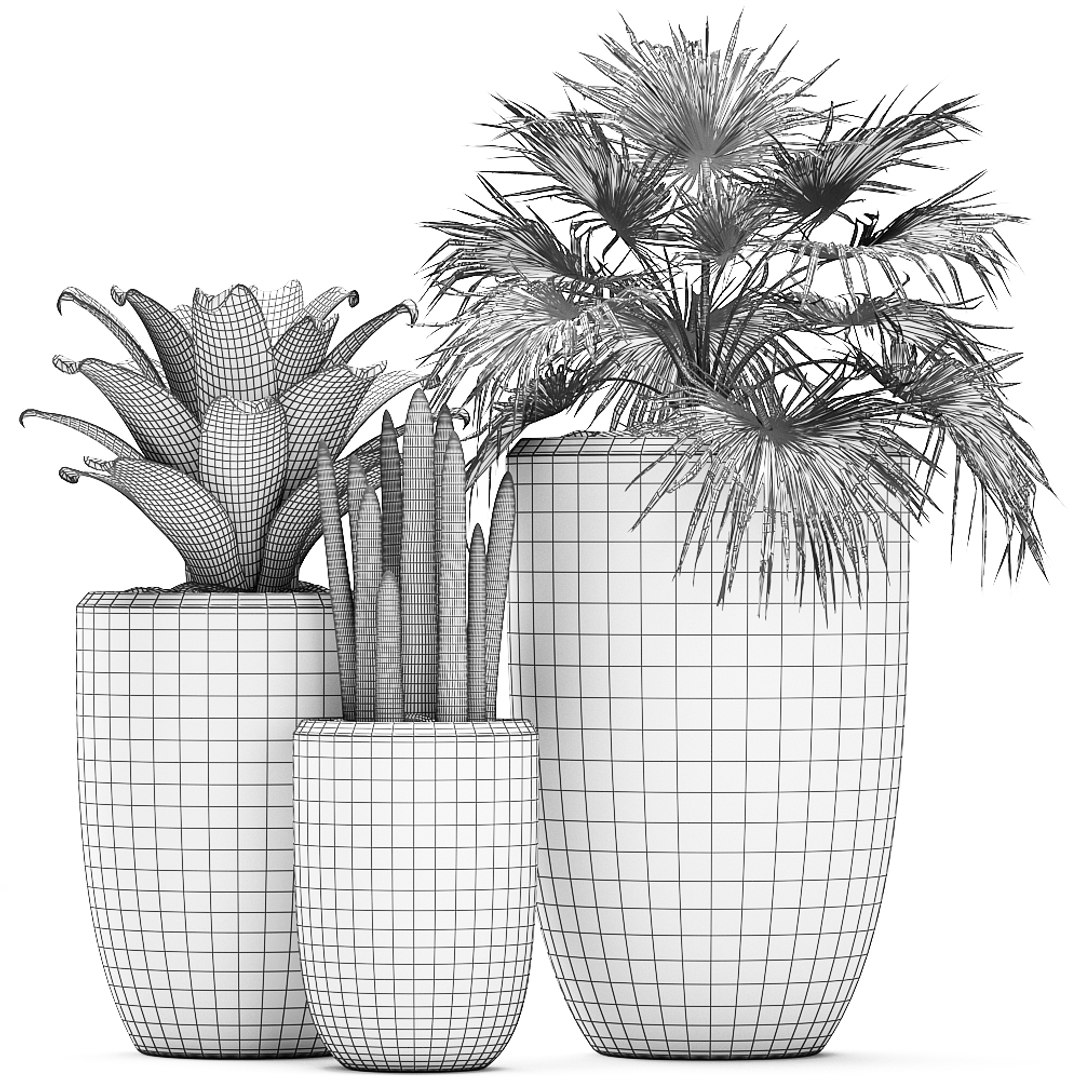tropical plants flower pot 3D model https://p.turbosquid.com/ts-thumb/d9/LwTnjC/aBUTXlub/plant2903202009/jpg/1585566504/1920x1080/fit_q87/0d28c180d37b1d3c01c5e49c11d9b2af072850ef/plant2903202009.jpg