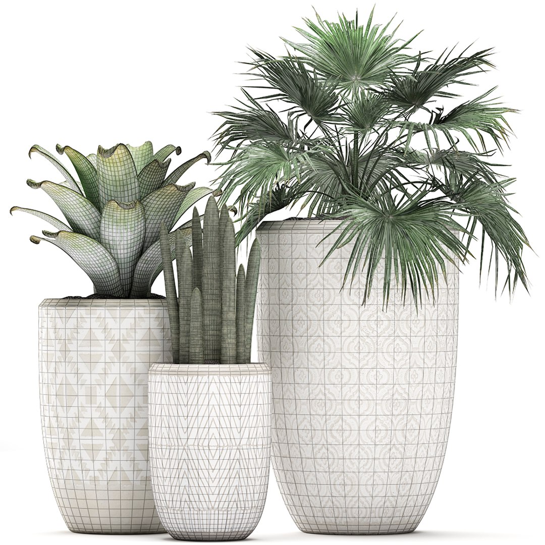 tropical plants flower pot 3D model https://p.turbosquid.com/ts-thumb/d9/LwTnjC/fMfOtG59/plant2903202008/jpg/1585566504/1920x1080/fit_q87/36012d37f6b16aeb5547e93377c5103b667d6e51/plant2903202008.jpg