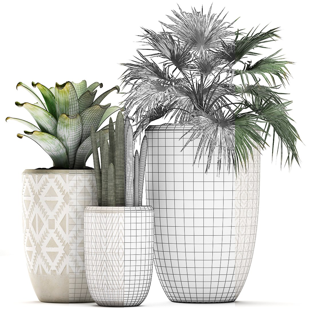 tropical plants flower pot 3D model https://p.turbosquid.com/ts-thumb/d9/LwTnjC/nDgW7vrQ/plant2903202007/jpg/1585566504/1920x1080/fit_q87/434f5e5e20ae35be832f6ce0d371aa0a1caa35b1/plant2903202007.jpg