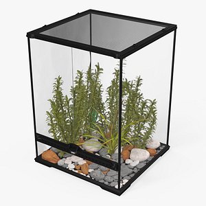Tall Terrarium for Reptiles with Wild Plants