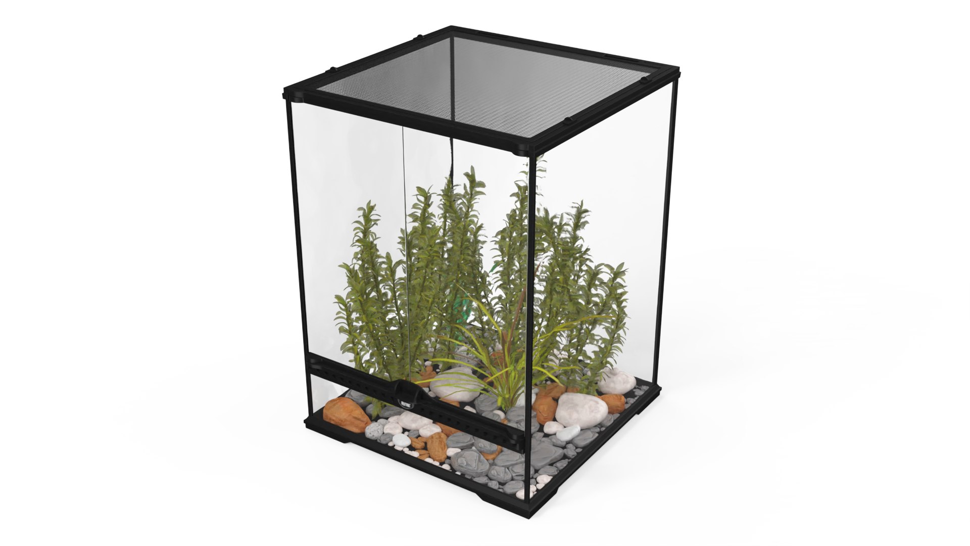 Tall Terrarium for Reptiles with Wild Plants 3D model preview