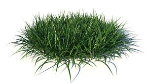 3D Round Realistic grass