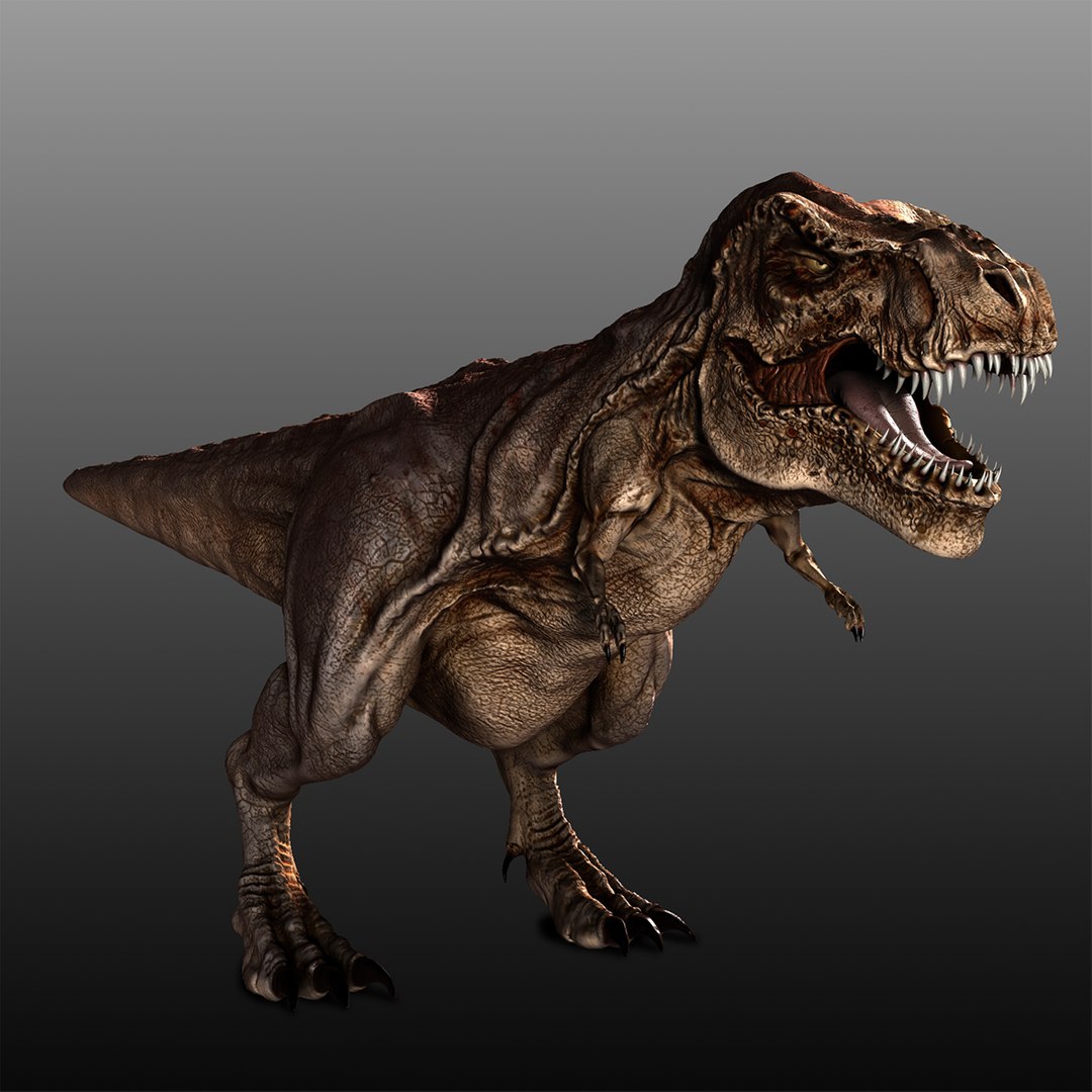 Tyrannosaurus Rex 3d Model