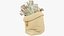 Money Bags Collection V27