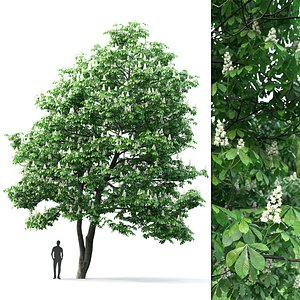3D model tree