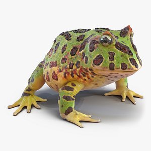 3d pacman frog