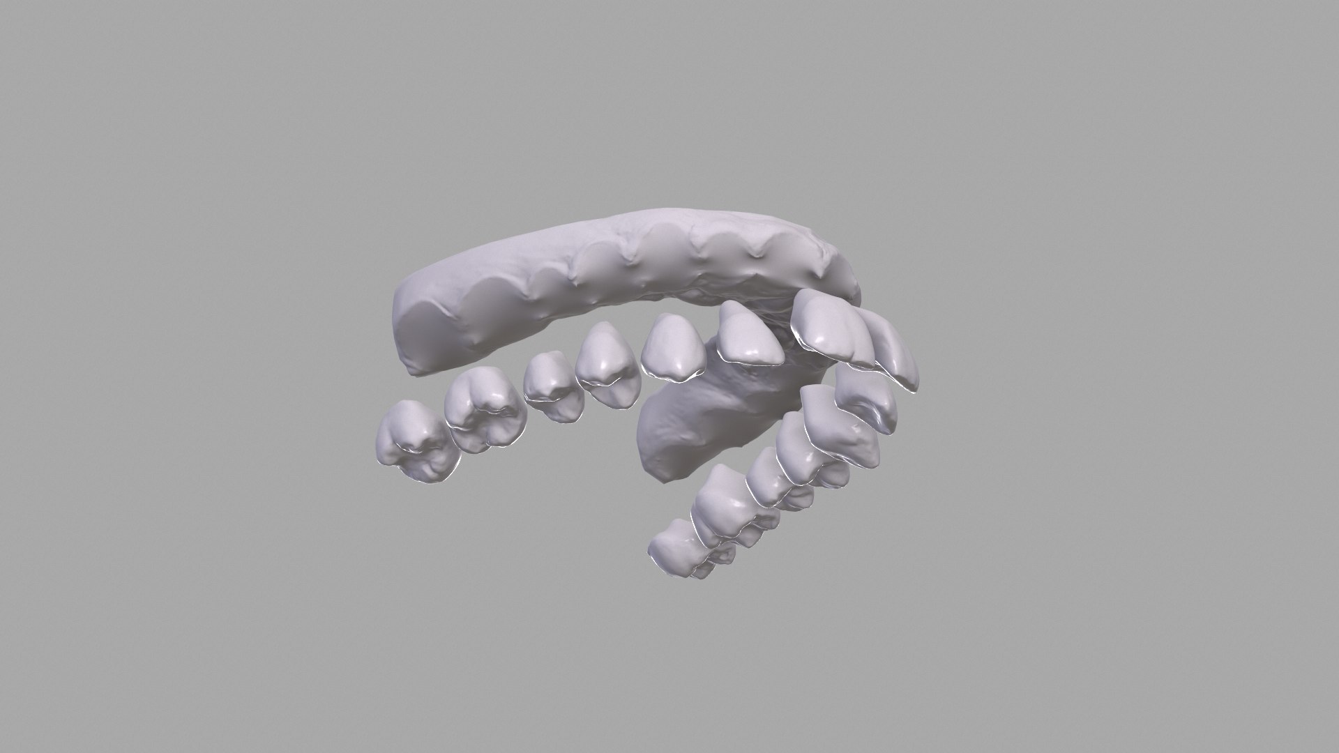 3D Dental Upper Jaw 3D Scanned Mouth With Separated Teeth 3D Print ...