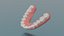 Dental upper jaw 3D scanned mouth with separated teeth 3D print model