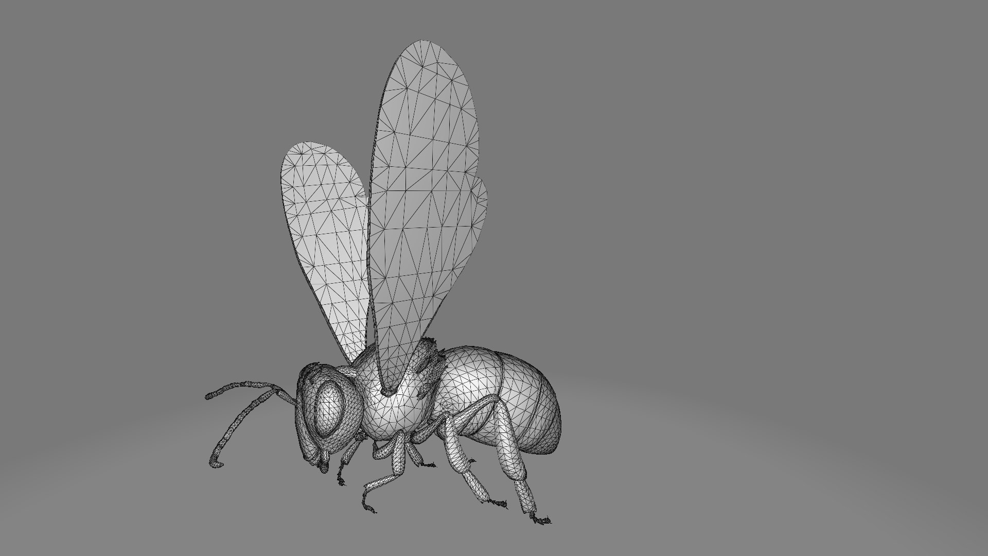Bee 3D - TurboSquid 2278915