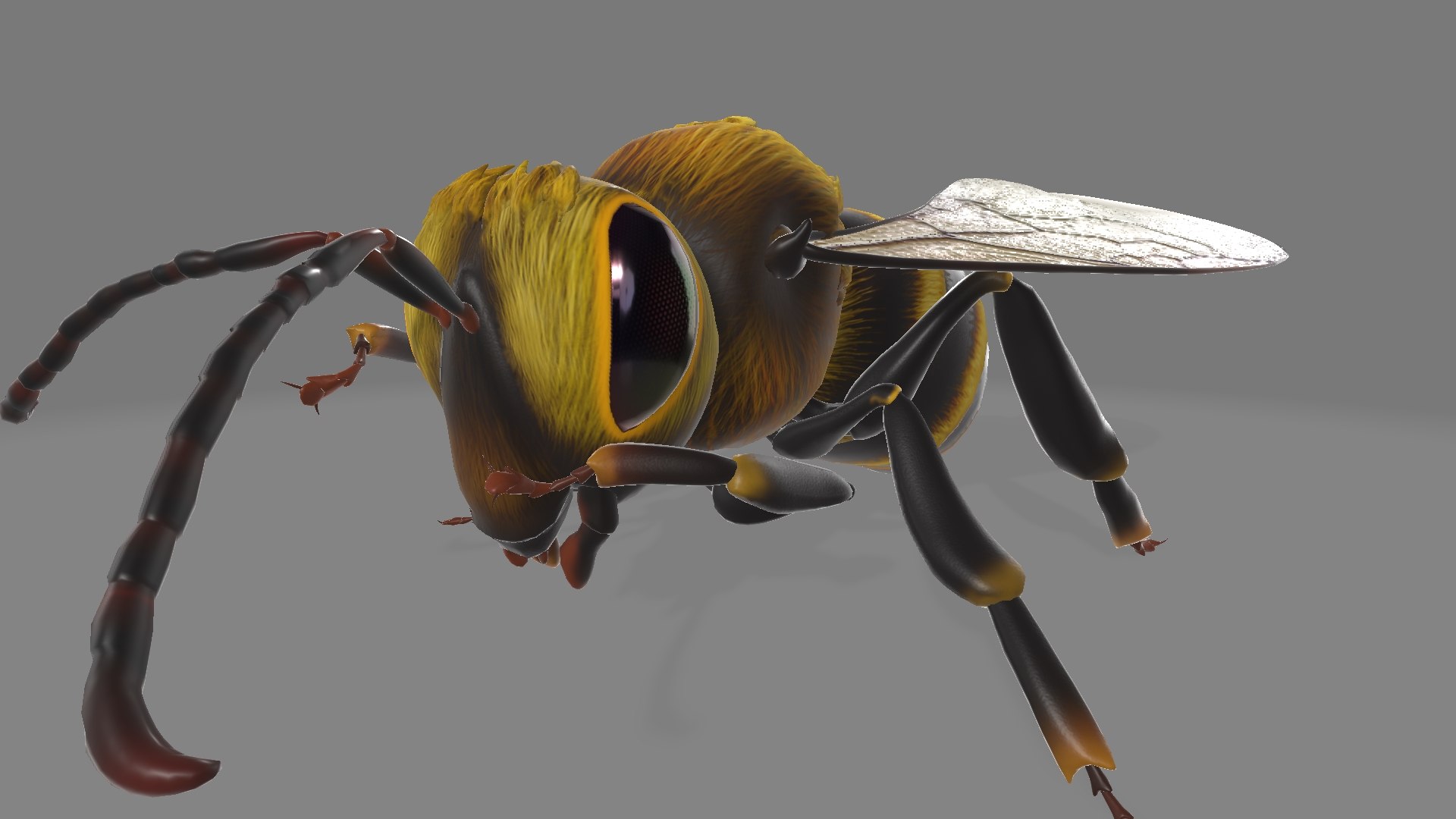 Bee 3D - TurboSquid 2278915