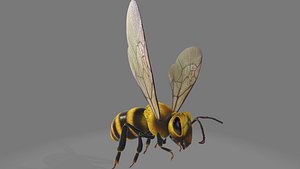 Bee