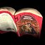 paperback