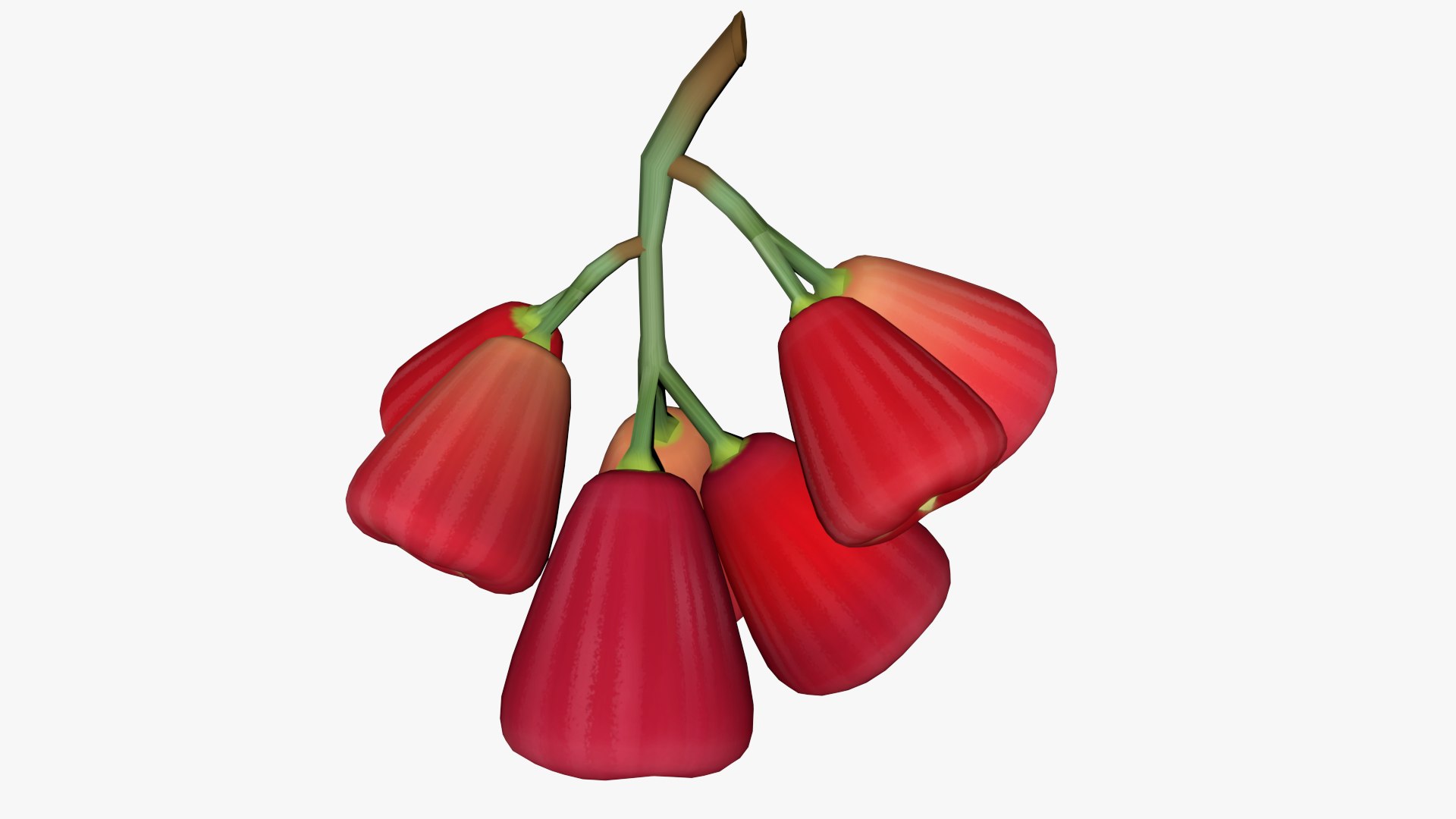 Fruit 3D https://p.turbosquid.com/ts-thumb/dA/E6p27R/ey/fruit_render02/png/1642783902/1920x1080/fit_q87/78eccf52f10d4e5b4ce7c9740da611a6be0dadea/fruit_render02.jpg