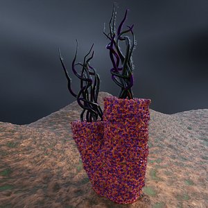 Corals model