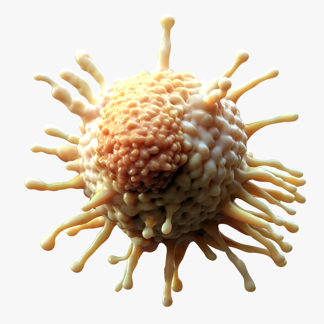 3D Cancer Cell Tumor model https://p.turbosquid.com/ts-thumb/dA/WUgQZr/4C/5/png/1746460149/1920x1080/fit_q87/d505e683738870c5c3ea093386077b076eec0afb/5.jpg