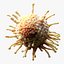 Cancer Cell Tumor