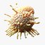Cancer Cell Tumor