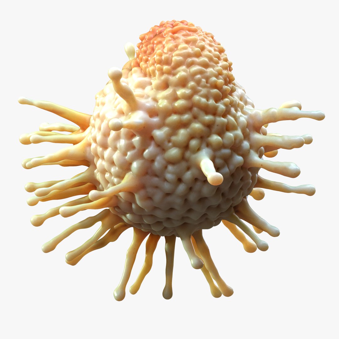 3D Cancer Cell Tumor model https://p.turbosquid.com/ts-thumb/dA/WUgQZr/Y2/3/png/1746460144/1920x1080/fit_q87/33133f402897589b24b445eb877eeaf91eb99402/3.jpg