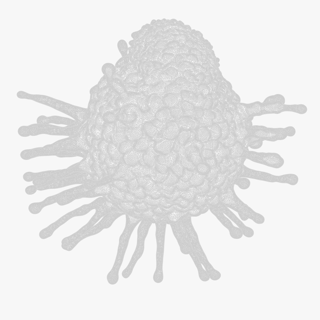 3D Cancer Cell Tumor model https://p.turbosquid.com/ts-thumb/dA/WUgQZr/gx/untitled_wireframe/png/1746460147/1920x1080/fit_q87/71ff29fdcdb95e8d09be61481ceafb7aa657b14b/untitled_wireframe.jpg