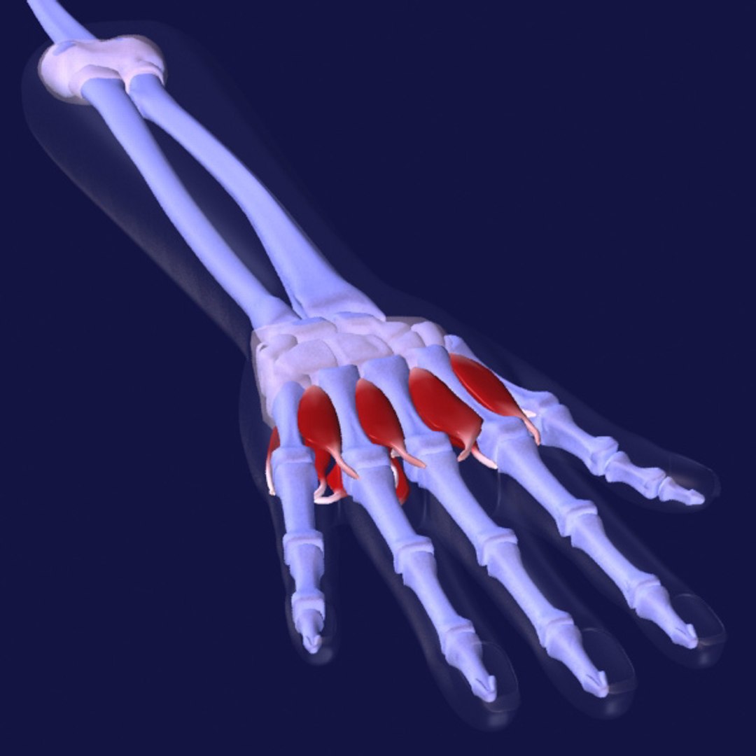 Max Correct Arm