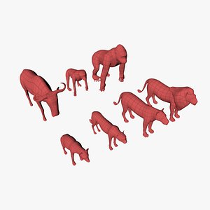 African animals base meshes