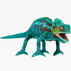 Panther Chameleon
