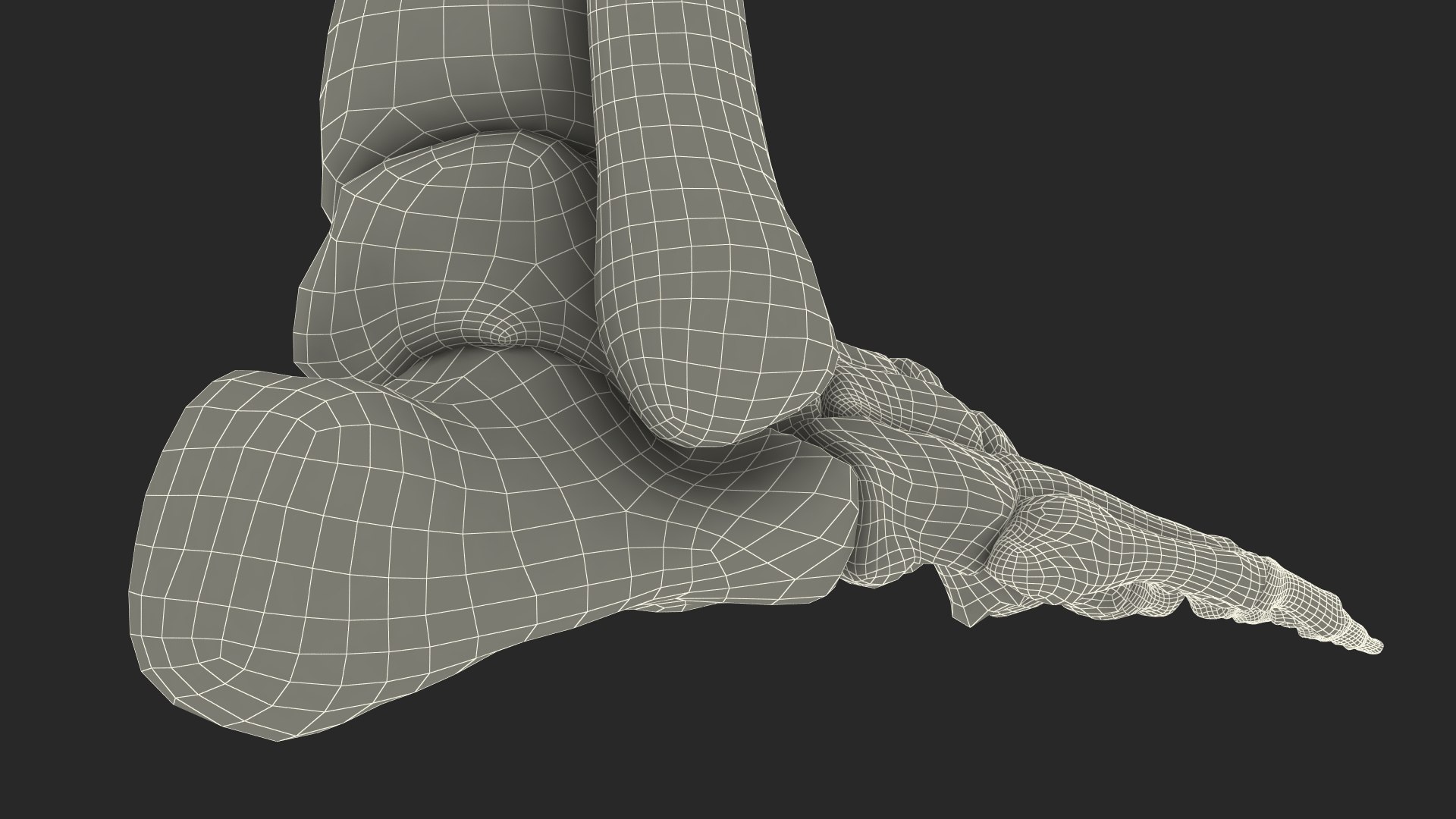 Human Foot Skeleton Model 3D https://p.turbosquid.com/ts-thumb/dA/qNa9Wj/q4/human_foot_skeleton_model_016/jpg/1753739940/1920x1080/fit_q87/5e6b245ad63efcc3ac7e1c51a8b98019c873dd84/human_foot_skeleton_model_016.jpg