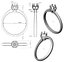 Ring 64