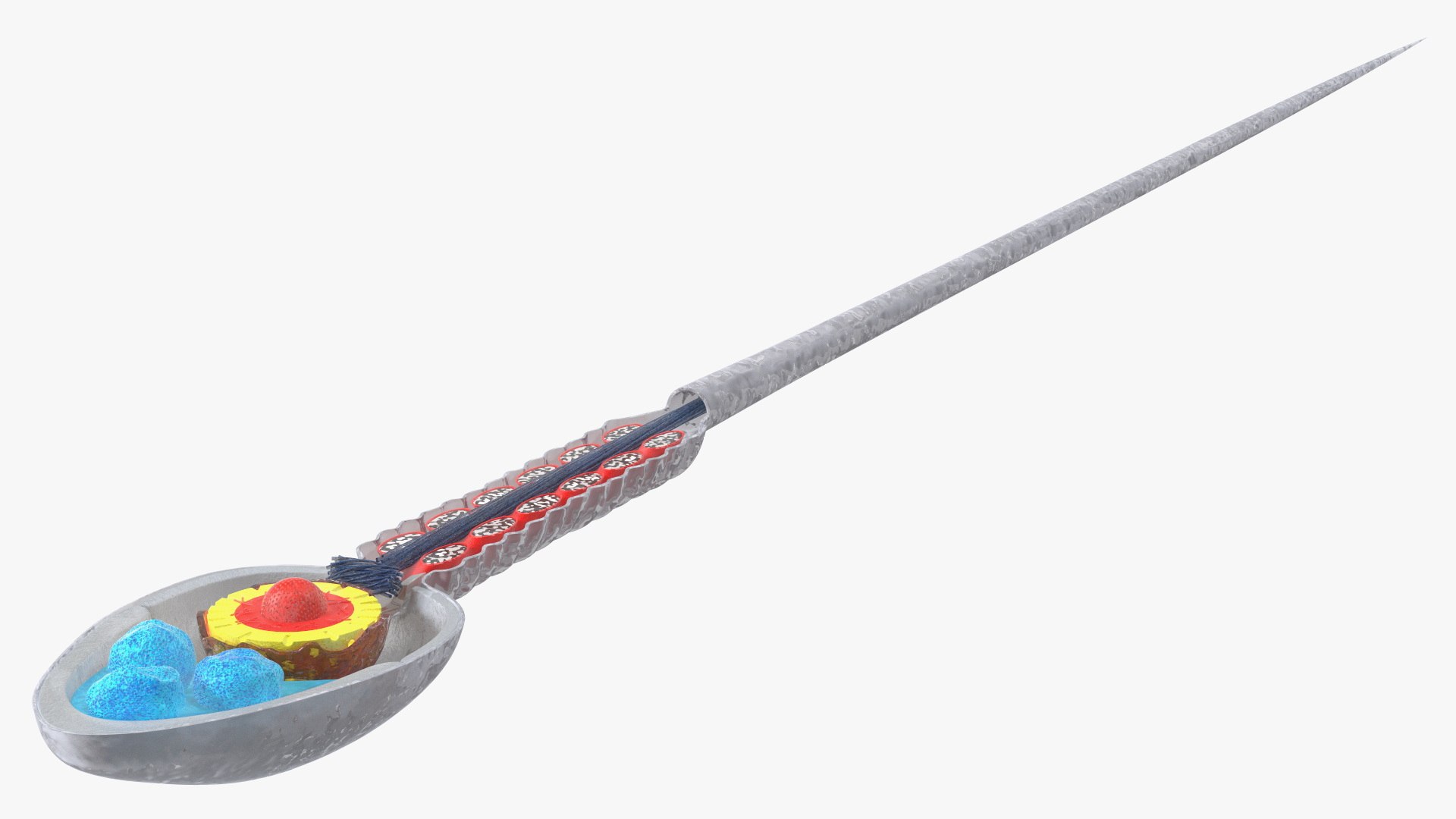 3D Cross-Sectional Spermotozoa https://p.turbosquid.com/ts-thumb/dB/I4eZrR/3d/crosssectionalspermotozoavray3dmodel013/jpg/1684436614/1920x1080/fit_q87/fe51117a79899bb4ee62b5f1d75204ab0d883794/crosssectionalspermotozoavray3dmodel013.jpg