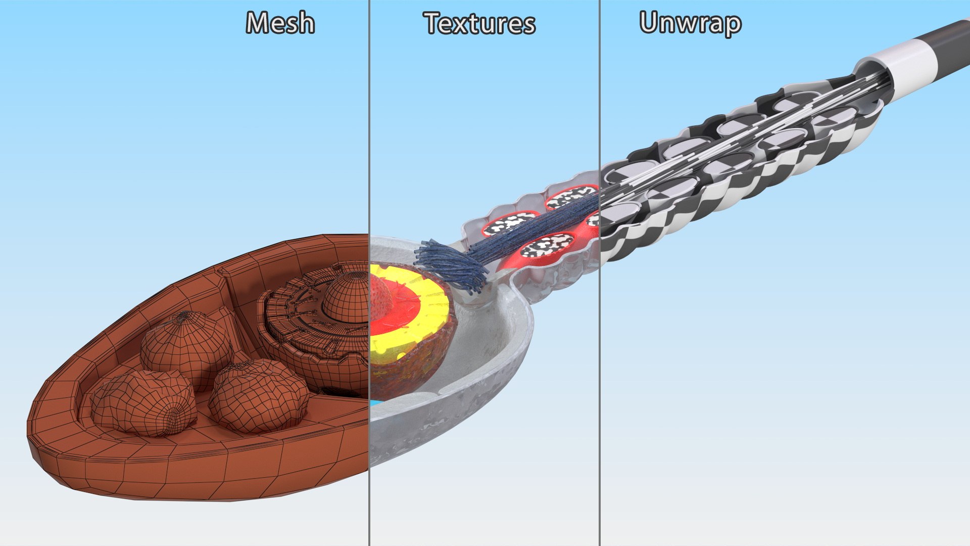 3D Cross-Sectional Spermotozoa https://p.turbosquid.com/ts-thumb/dB/I4eZrR/xL/crosssectionalspermotozoavray3dmodel019/jpg/1684436635/1920x1080/fit_q87/ff96f7066d8773315a79b87d1cff46466fc8c04c/crosssectionalspermotozoavray3dmodel019.jpg