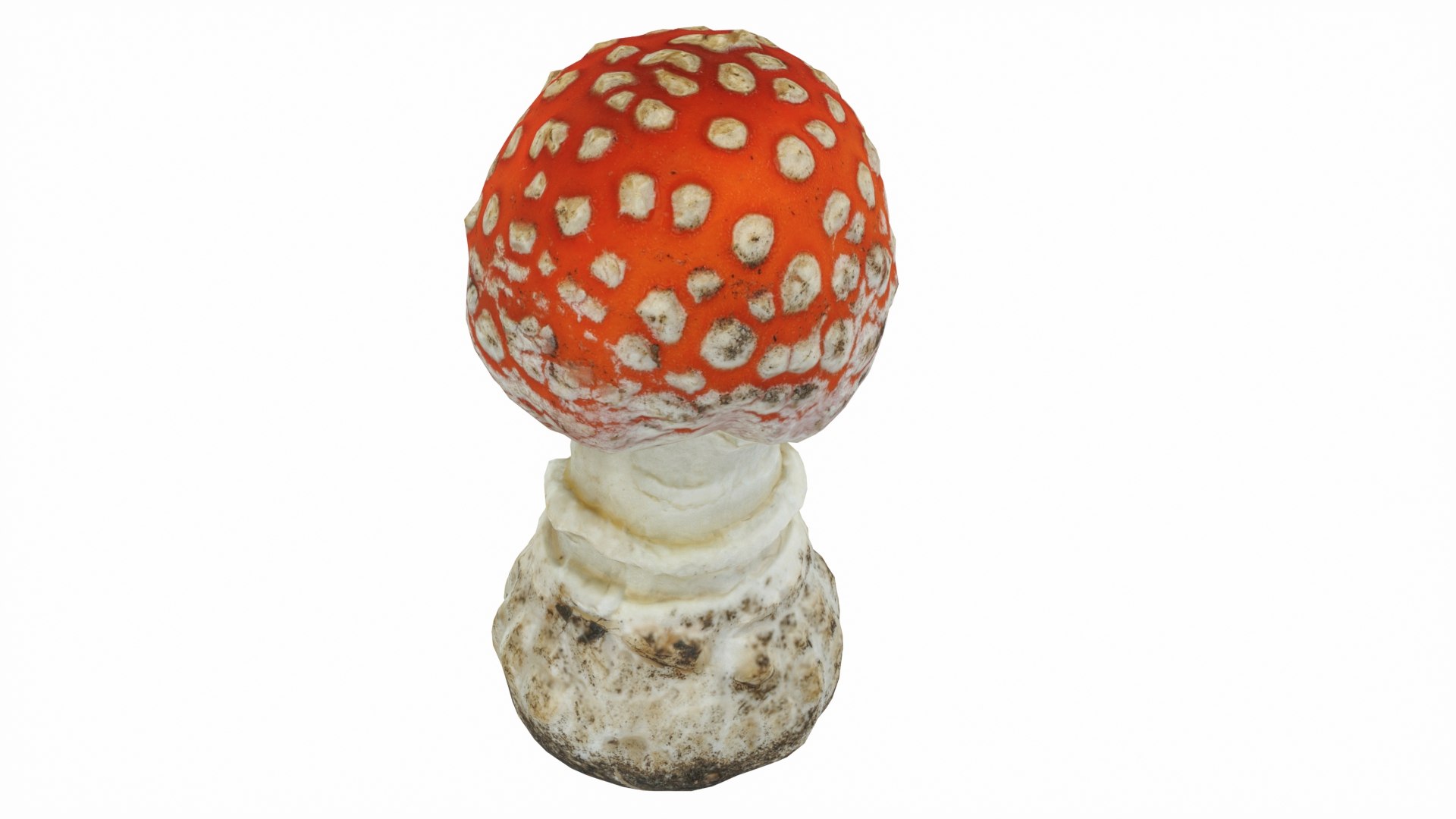 Toadstool 3D - TurboSquid 2266129