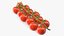 Cherry Tomatoes on the Vine