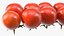 Cherry Tomatoes on the Vine